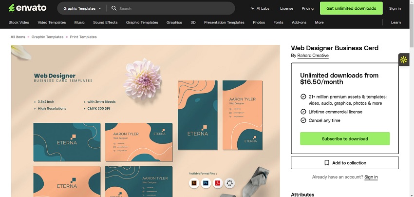 Web Designer Business Card