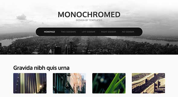 6 monochromed Free Dreamweaver Template