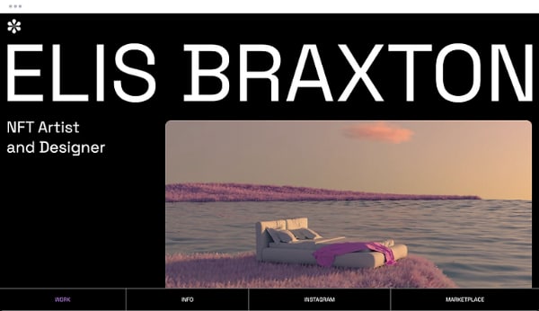 Artist Website