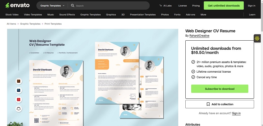 Web Designer CV Resume
